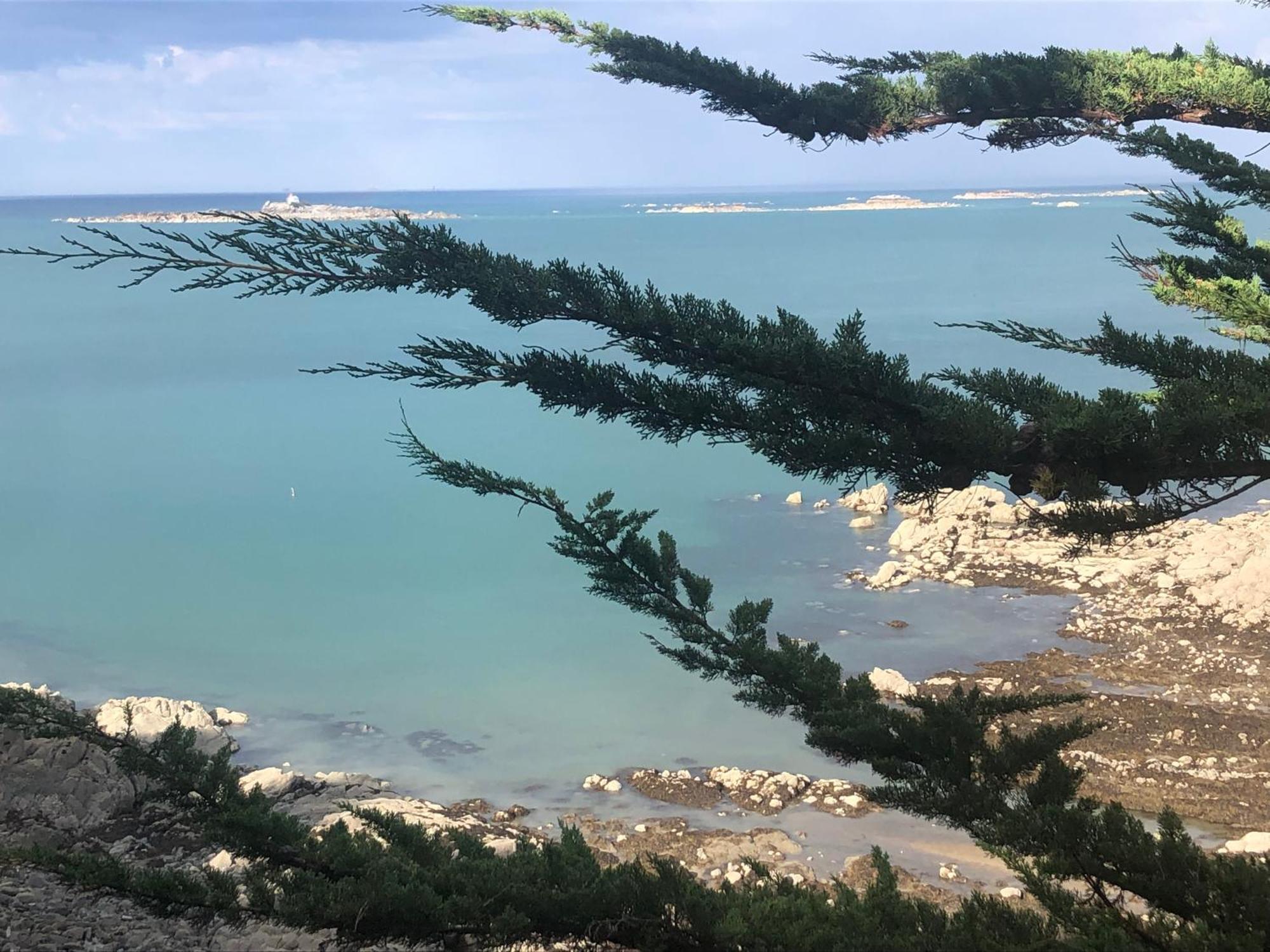 L'Annexe Villa Saint-Quay-Portrieux Buitenkant foto